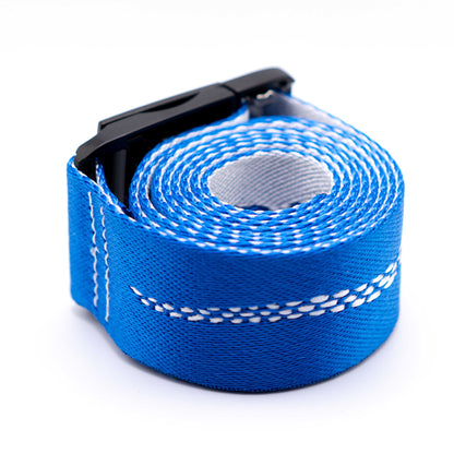 BLUE SNAKE